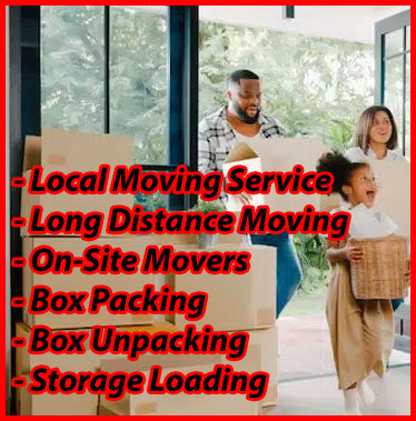 Packers And Movers Noida Sector 64